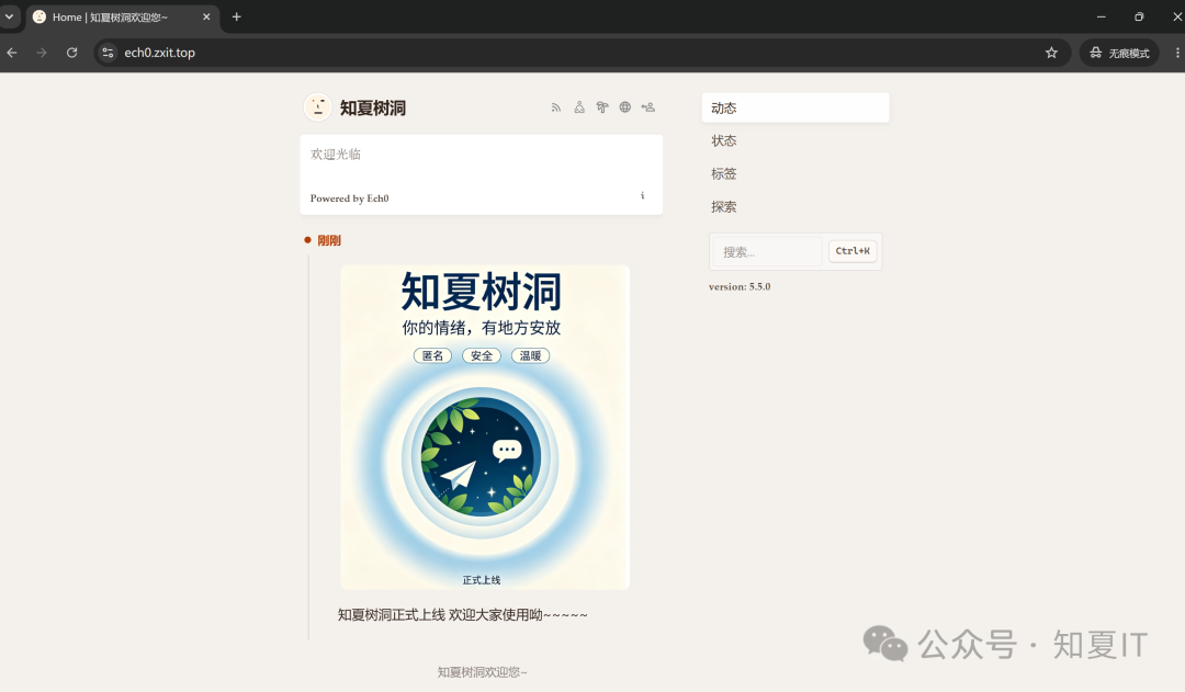 【第二十九篇】-部署私域匿名树洞容器之【Ech0】